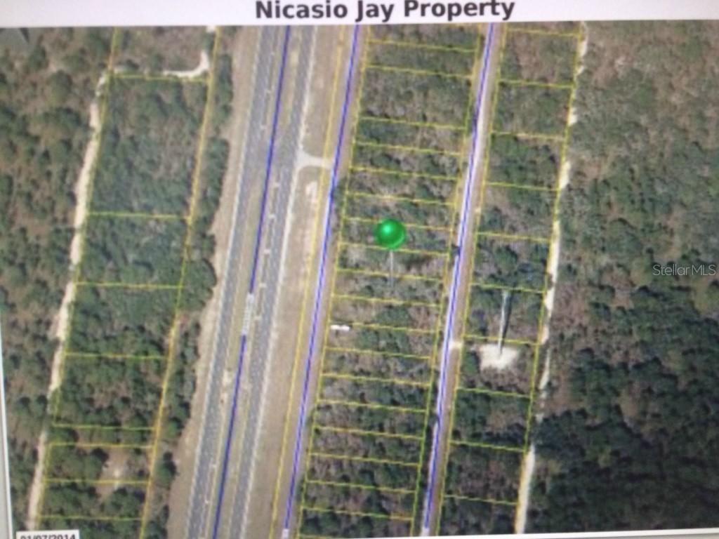Nicasio Jay Ave., Weeki Wachee, FL 34614