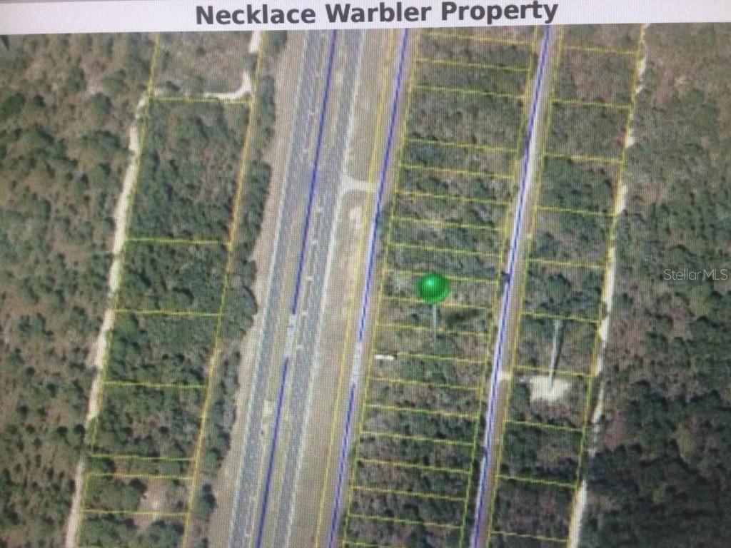 Necklace Warbler Ave., Weeki Wachee, FL 34614