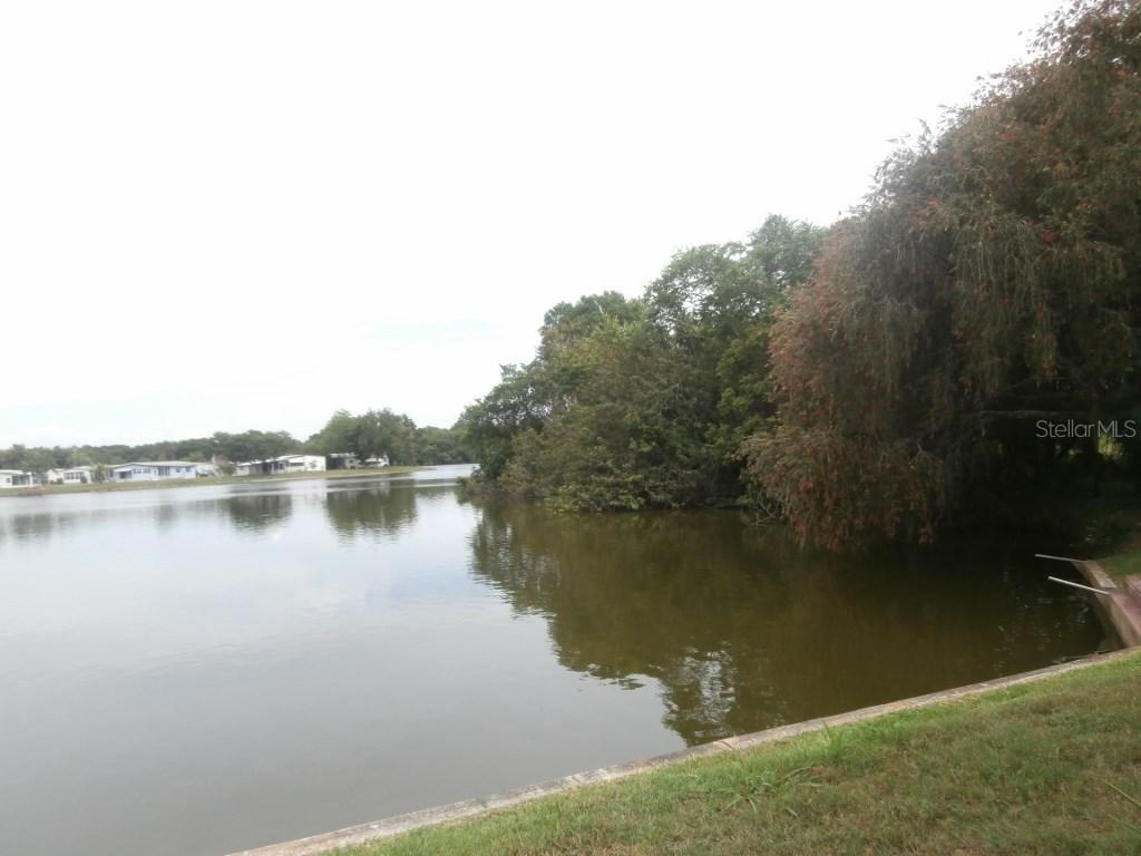 3036 Birkdale Dr., Holiday, FL 34690