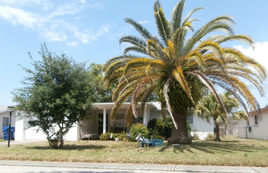 3403 Allandale Dr., Holiday, FL 34691