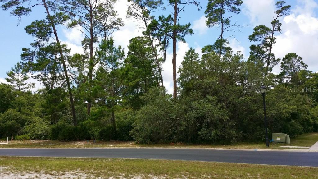 6155 Waters Way, Weeki Wachee, FL 34607