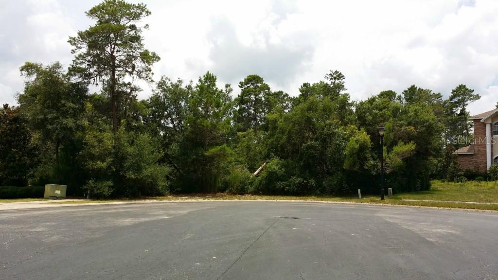 New Osprey Point, Weeki Wachee, FL 34607