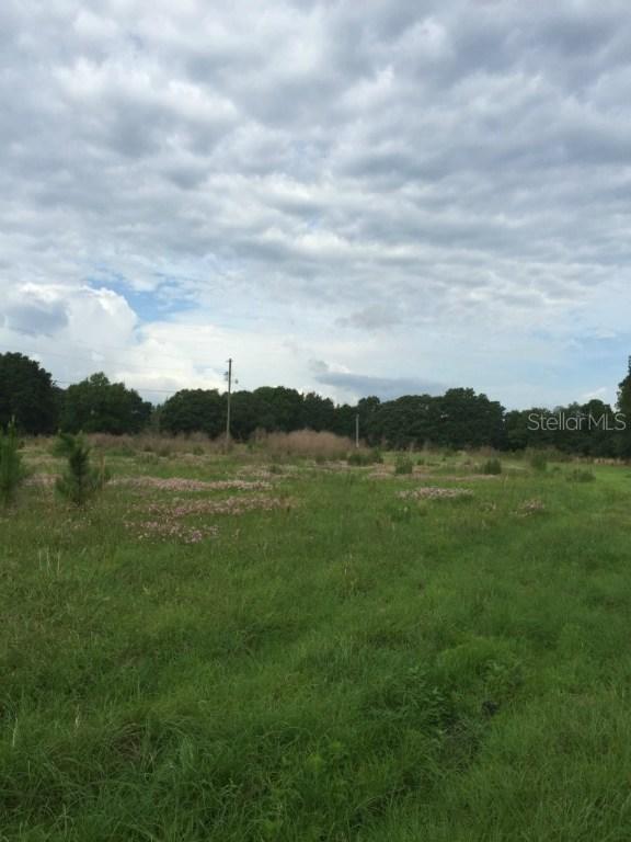 3015 Tina Marie Dr., Wesley Chapel, FL 33543