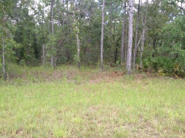 16462 Magpie Rd., Weeki Wachee, FL 34614