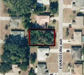 2329 Evangelina Ave., Spring Hill, FL 34608