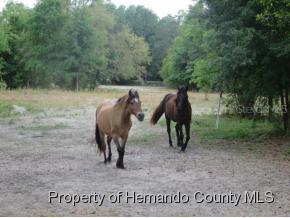 14234 Ross Ln., Brooksville, FL 34614