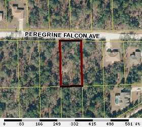 12330 Peregrine Falcon Ave., Weeki Wachee, FL 34614