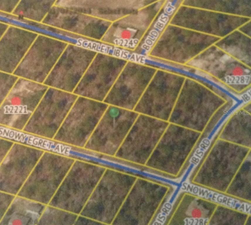 Snowy Egret Ave., Weeki Wachee, FL 34614