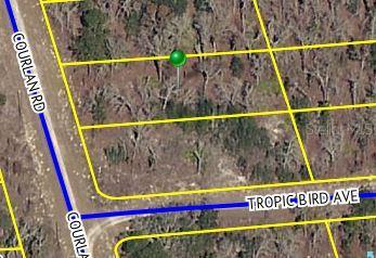 Courlan Rd., Weeki Wachee, FL 34614