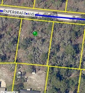 12344 Papercraft Ave., Weeki Wachee, FL 34614