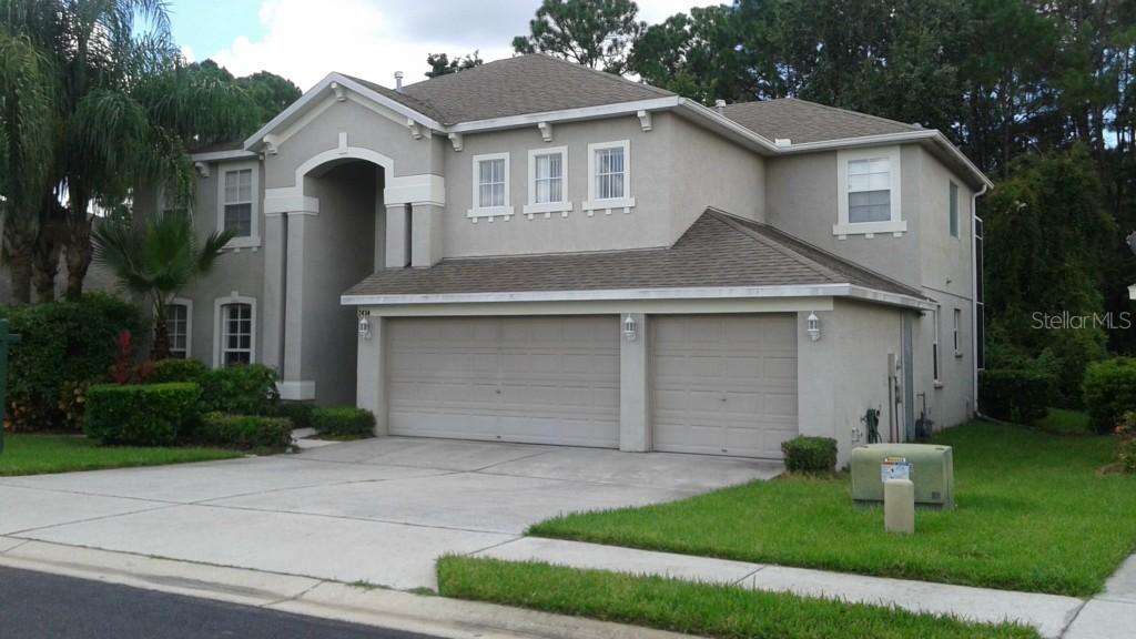 2434 Brinley Dr., Trinity, FL 34655