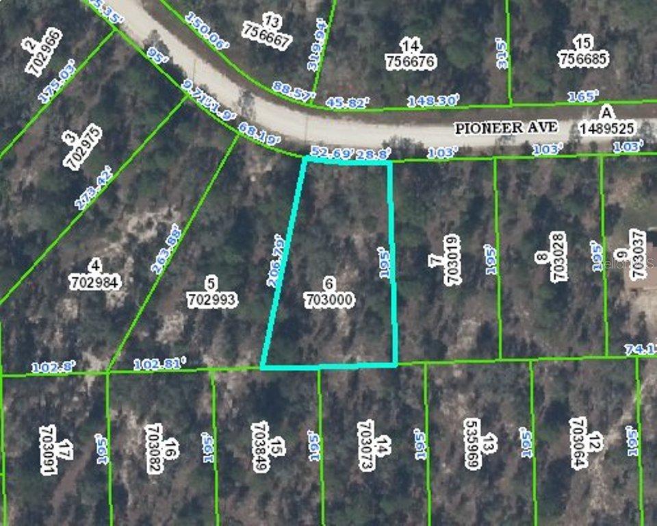 Pioneer Ave, Weeki Wachee, FL 34614