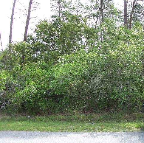 7074 Owl Rd., Weeki Wachee, FL 34613