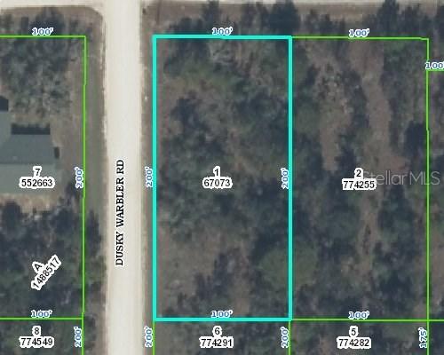 Dusky Warbler Rd., Weeki Wachee, FL 34614