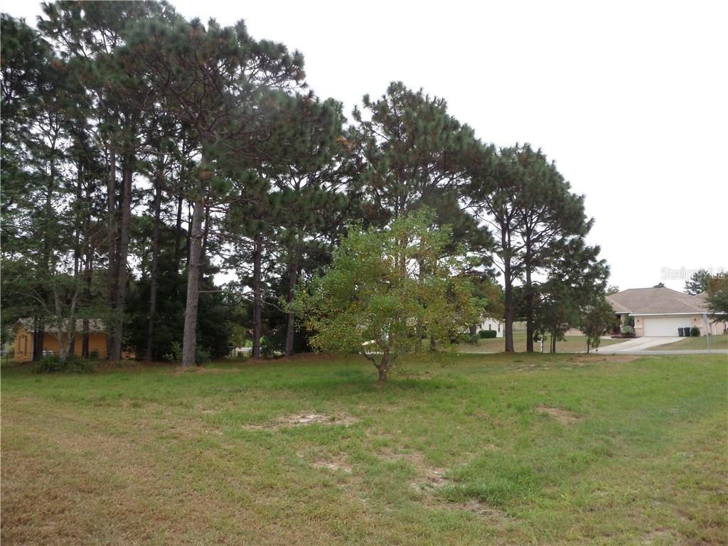 13313 Bondstone St., Spring Hill, FL 34609