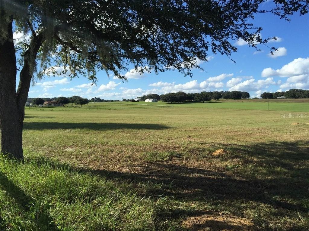 Daly Rd., Brooksville, FL 34601