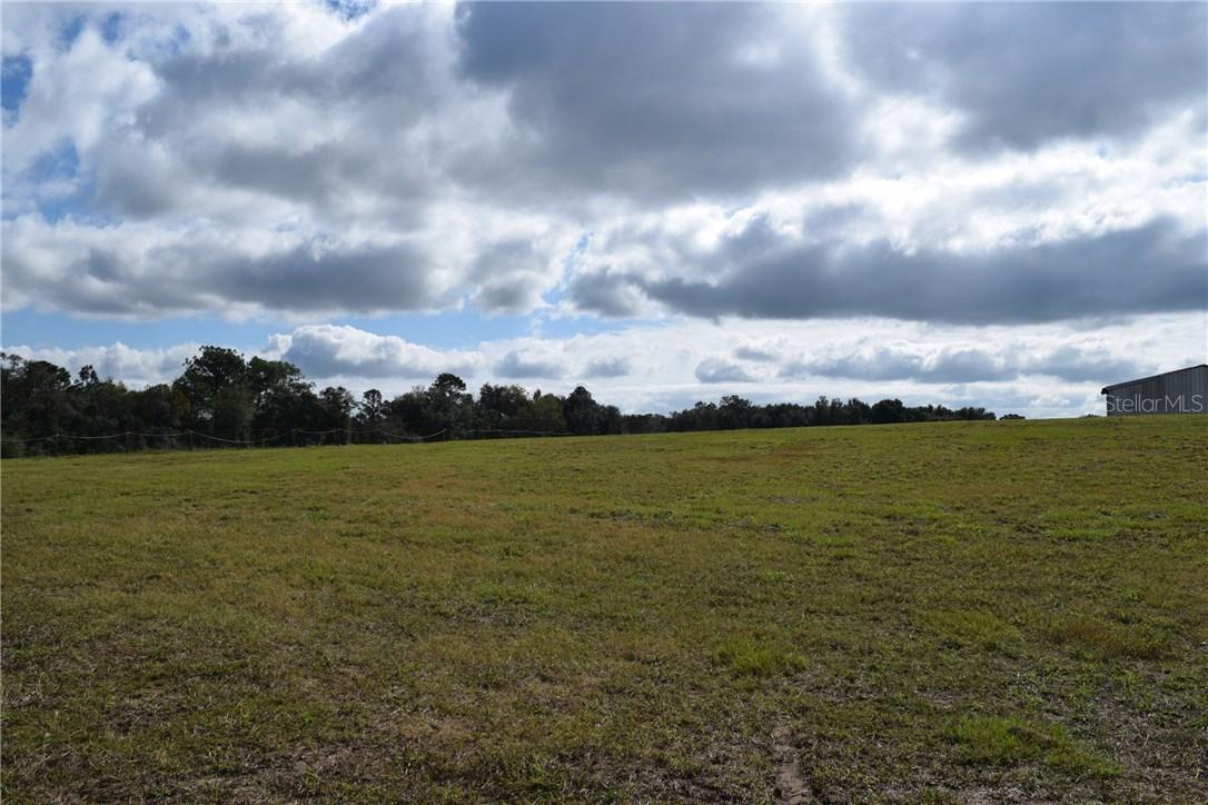 29022 Wildlife Ln., Brooksville, FL 34602