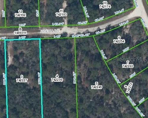 LOT 3 Pigeon Ave., Weeki Wachee, FL 34614