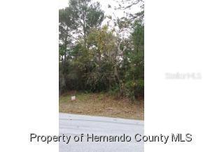 5011 Tiburon Ave., Spring Hill, FL 34608