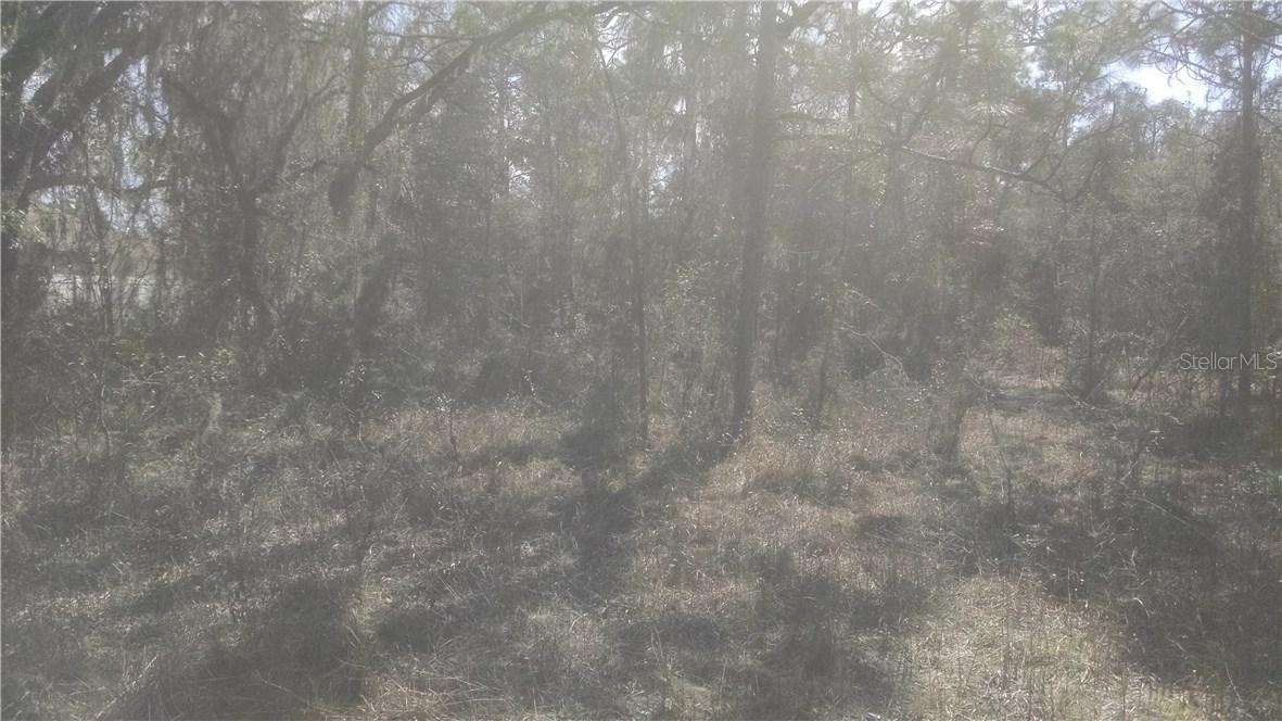 Akins Dr., Shady Hills, FL 34606