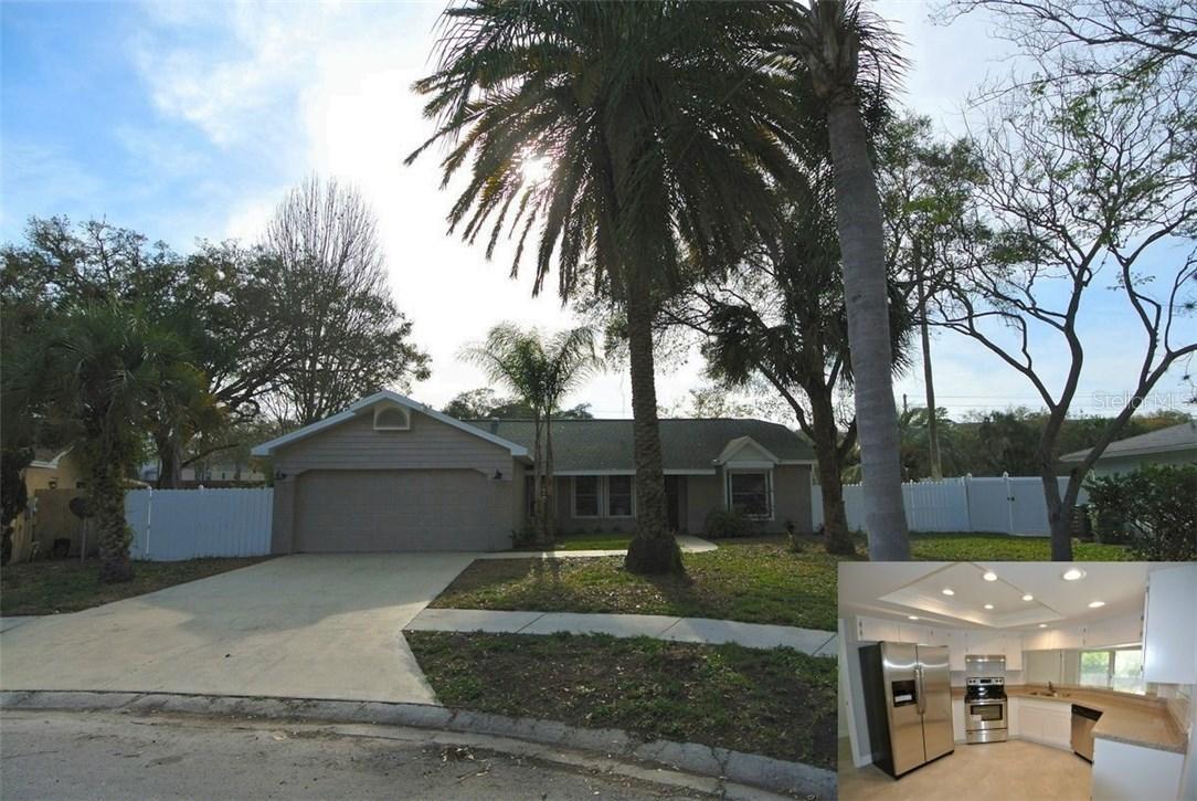 3412 Snowy Egret Ct., Palm Harbor, FL 34683