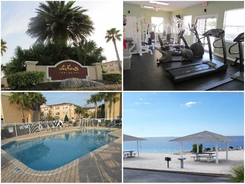 4942 Gulf Waters Dr., New Port Richey, FL 34652