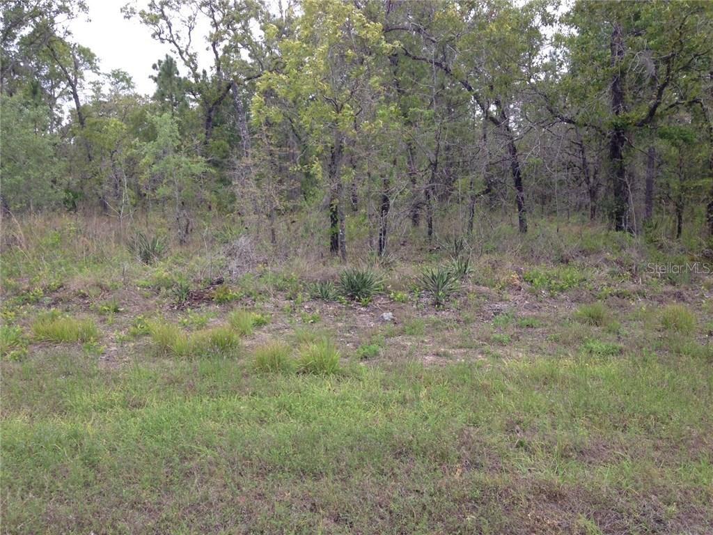 13309 Thrasher Ave., Weeki Wachee, FL 34614