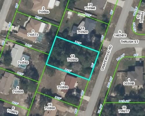 6527 Grapewood Rd., Spring Hill, FL 34609