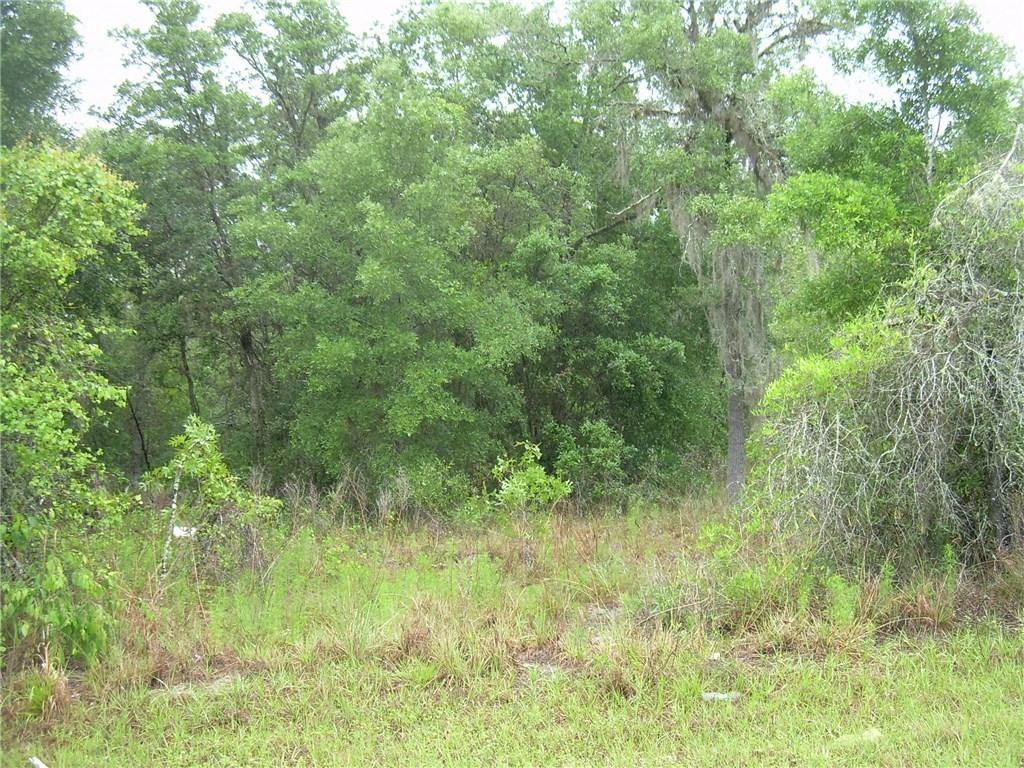 13710 Peace Blvd., Spring Hill, FL 34610