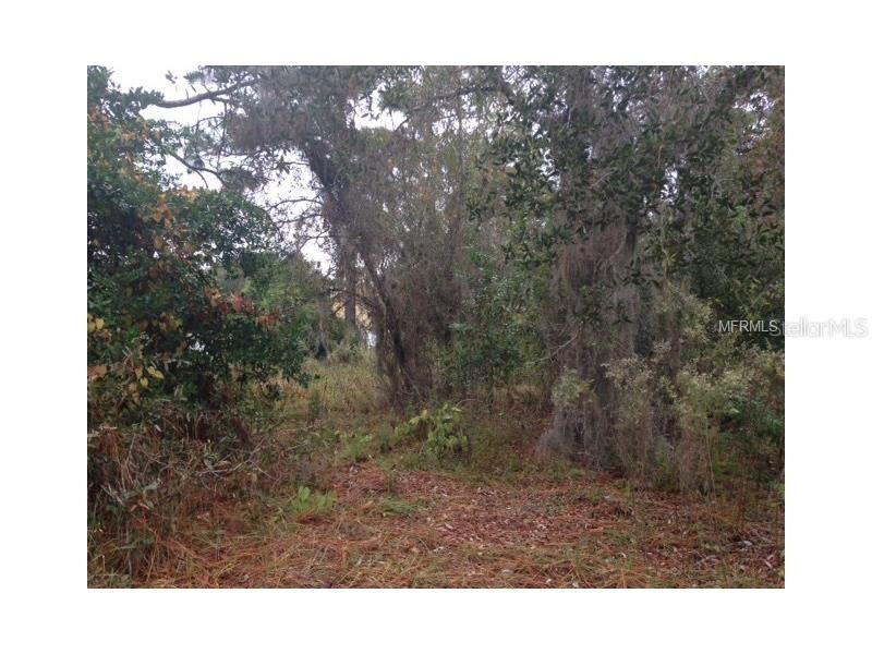 12247 Linden Dr., Spring Hill, FL 34609