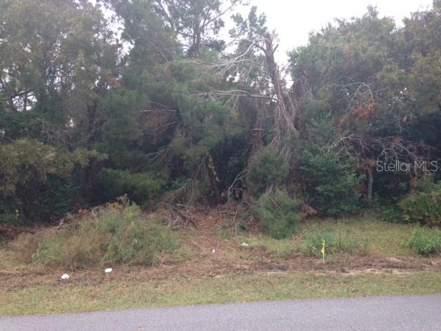 2293 Estill Ave., Spring Hill, FL 34609