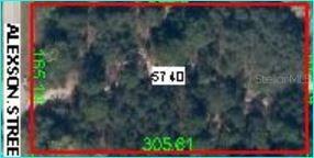 Alexson St., Spring Hill, FL 34610