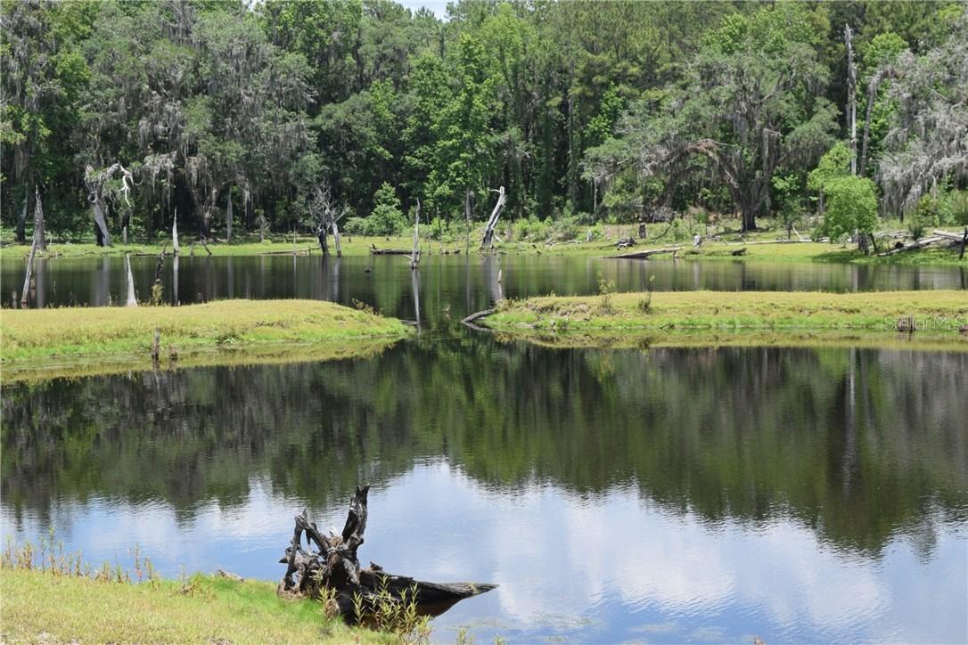 3173 Culbreath Rd., Brooksville, FL 34602
