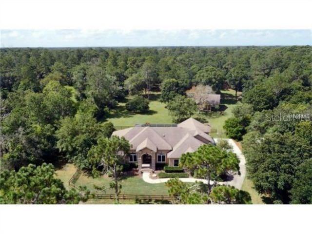 10856 Alico Pass, New Port Richey, FL 34655