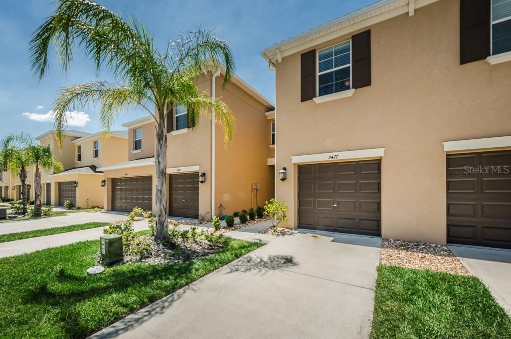 9477 Trumpet Vine Loop, Trinity, FL 34655