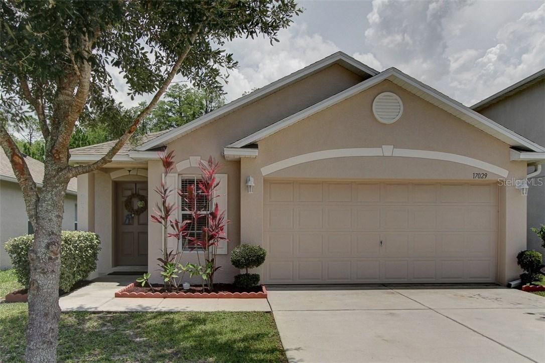 17029 Lixberry Way, Land O Lakes, FL 34638