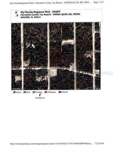 16126 Marsh Quail Rd., Weeki Wachee, FL 34614