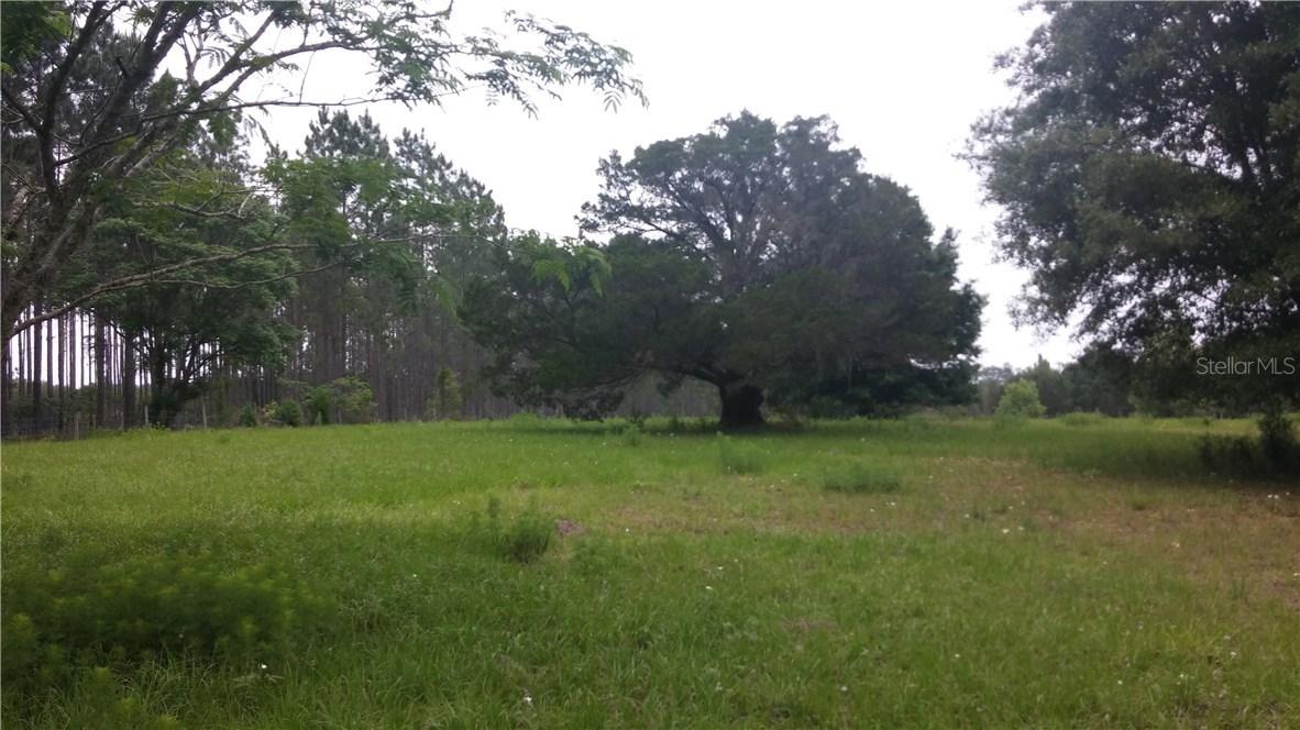 Yes Dear Ln., Brooksville, FL 34601