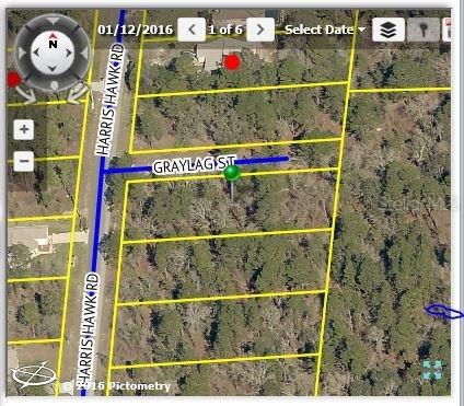 Graylag St., Weeki Wachee, FL 34614