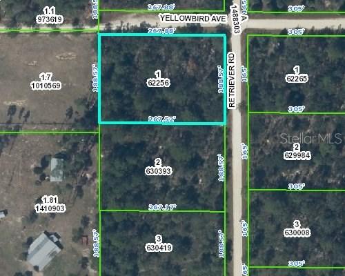 9324 Yellowbird Ave., Weeki Wachee, FL 34614