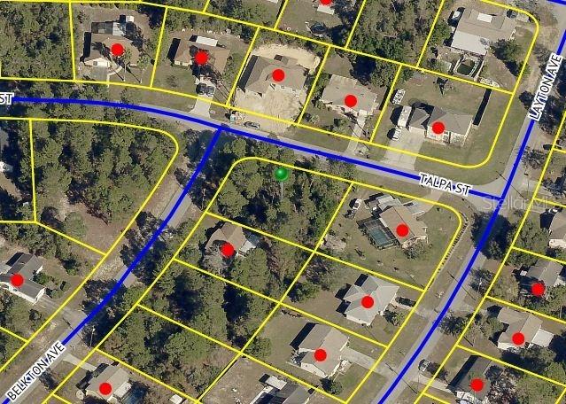 12420 Talpa St., Spring Hill, FL 34608