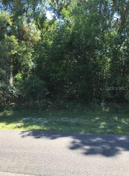 1224 Finland Dr., Spring Hill, FL 34609