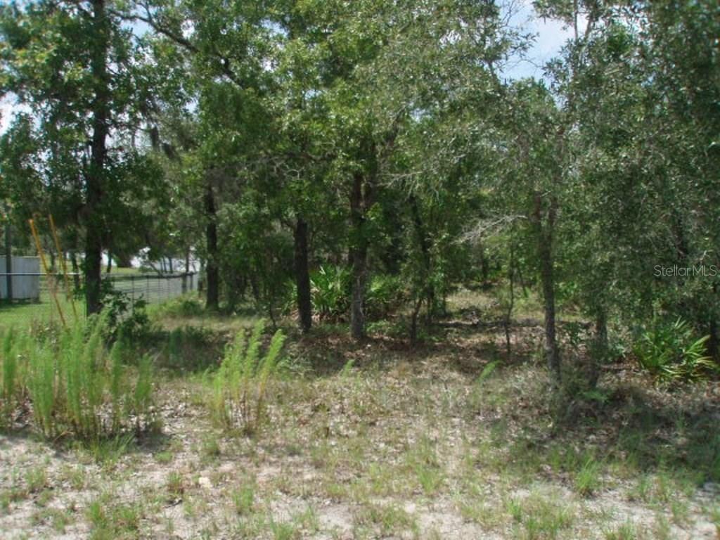 14108 Mulkerin Dr., Weeki Wachee, FL 34614