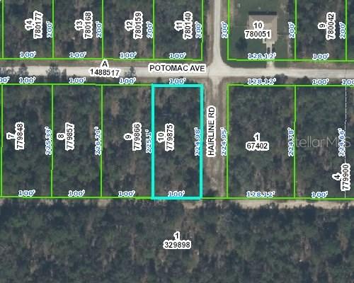 Potomac Ave., Weeki Wachee, FL 34614