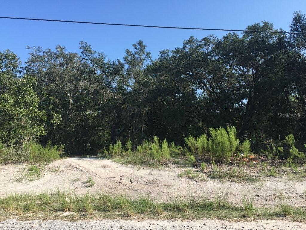 Tract 24 Dalberg Dr., Spring Hill, FL 34610