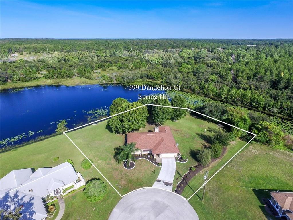 399 Dandelion Ct., Spring Hill, FL 34606