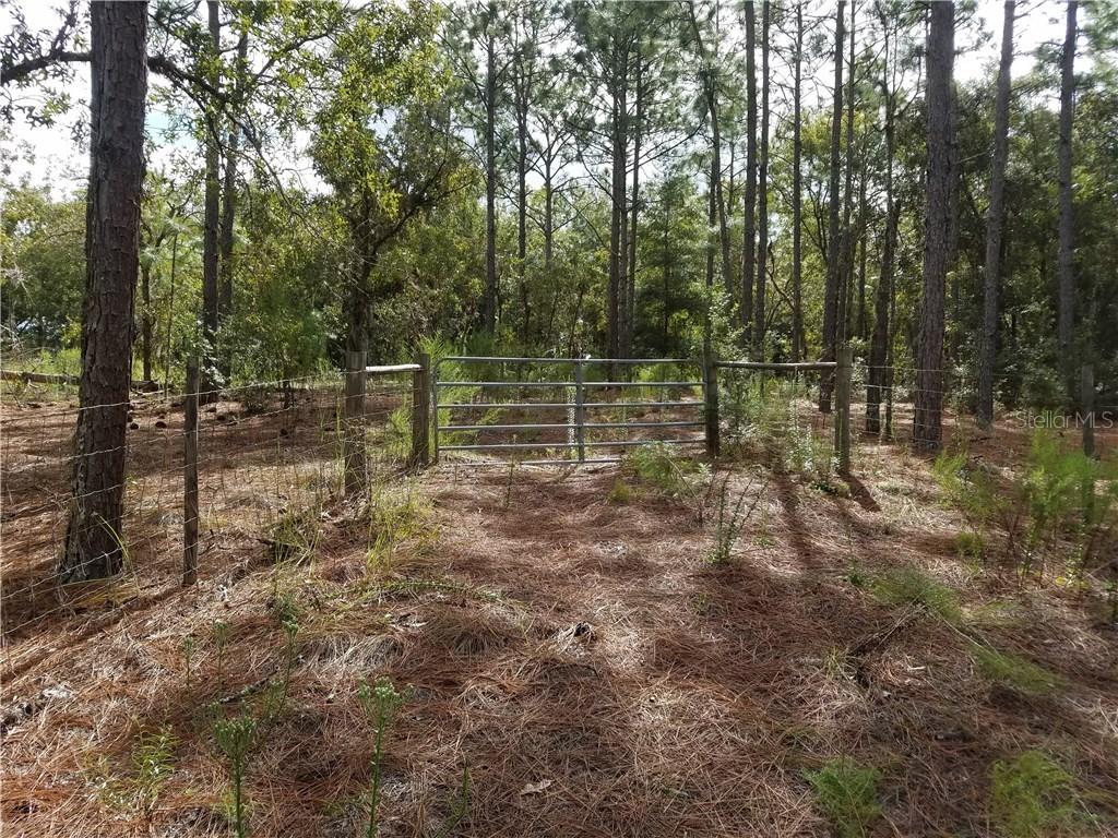 Wilkins Tr., Brooksville, FL 34601