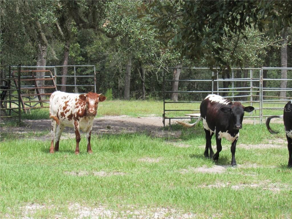 14251 Nottingham Tr., Hudson, FL 34669