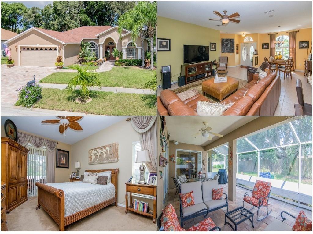 8401 Basalisk Ct., New Port Richey, FL 34653