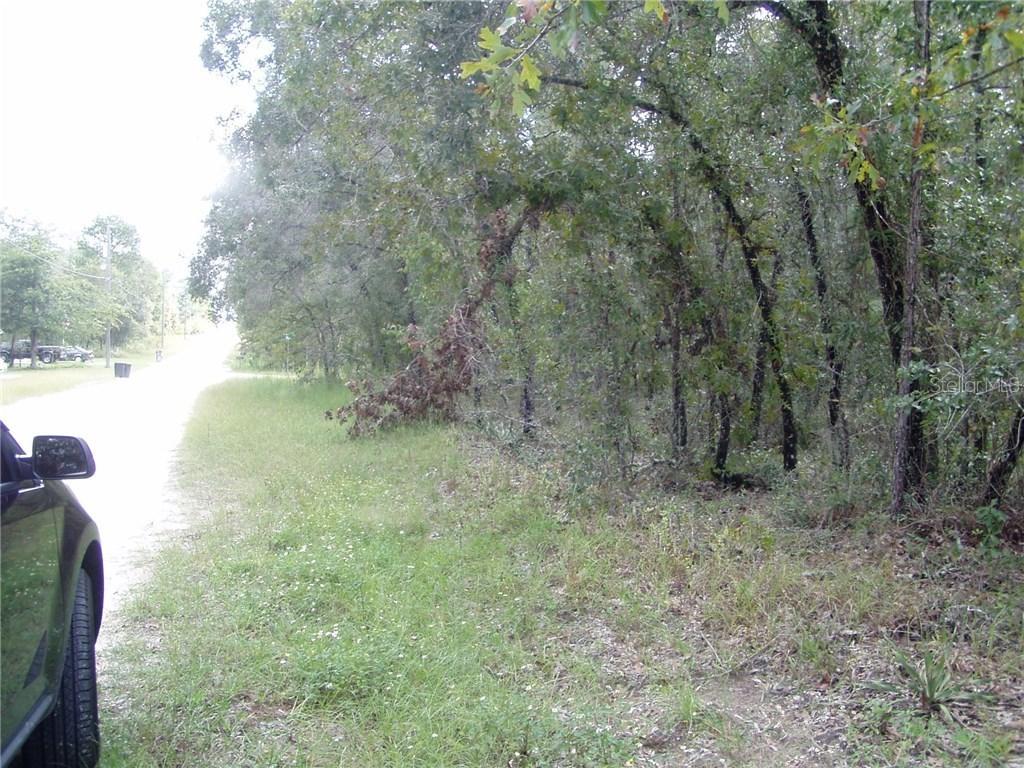 12016 Peregrine Falcon Ave., Weeki Wachee, FL 34614